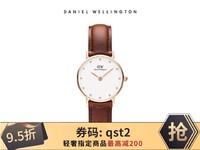 Daniel Wellington 丹尼尔惠灵顿 女士红棕色皮革表带石英腕表