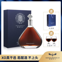 朝朝向上 白兰地XO 法国优质干邑洋酒套装 礼盒装 欧洲版 700ml 白兰地/干邑