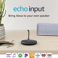 Echo Input 智能拾音器