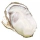 京东PLUS会员：董盈盈 鲜活乳山牡蛎 净重约4.5斤