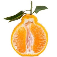 自然山 四川不知火丑橘子桔子 精选优级果 5斤装 新鲜水果