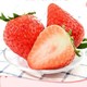 DANGNINGGUOPIN 砀宁果品 红颜草莓 大果 4斤