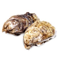 鲜多邦 乳山生蚝 2.5kg 约25-35个