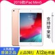 2019年新款ipad mini5 7.9寸 A12处理器  苹果ipad