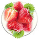 四川大凉山露天草莓 巧克力奶油草莓 新鲜大果 精选3斤
