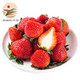 京东PLUS会员：静益乐源 红颜草莓 巧克力奶油草莓 精品果 3斤