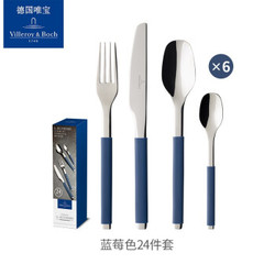 德国唯宝（Villeroy&Boch） S+系列刀叉餐具5件套装 18/10不锈钢 蓝莓色