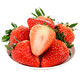 移动端：红颜草莓 奶油巧克力草莓 5斤精品果