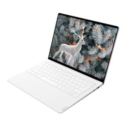 Lenovo 联想 小新Pro13s 13.3英寸笔记本电脑(i5-10210U、16G、512G、100%sRGB) 冰瓷莹玉