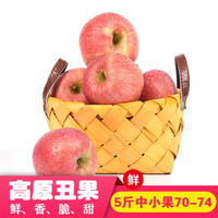 陕西洛川红富士苹果丑果整箱脆甜新鲜水果生鲜 5斤