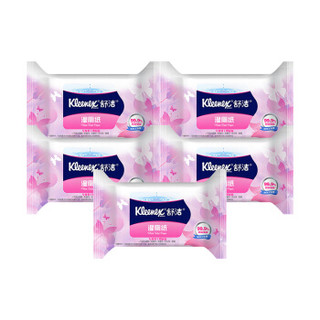 Kleenex 舒洁 女性湿厕纸 24片 5包 *2件