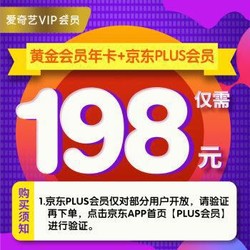 爱奇艺vip会员12个月+享一年PLUS会员权益（ 不支持tv端 ）