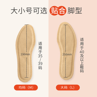 丽悦 LY-NJD2019 自发热鞋垫
