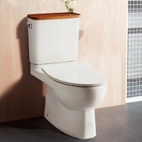 KOHLER 科勒 瑞琦丽裙版 分体座便器