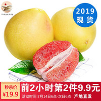 柚子 红心蜜柚1个装 单果2.2-2.8斤 新鲜柚子水果