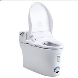 American Standard 美标 CEAS5375 概念一体化双冲智能马桶