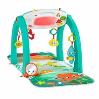 Fisher-Price 4-合-1 海洋主题游戏毯