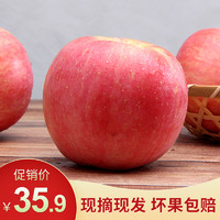 富士苹果新鲜水果季红富士苹果带箱10斤装