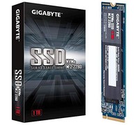 Gigabyte 技嘉 NVMe 1.3/M.2/PCIe 3.0x4/1TB SSD (GP-GSM2NE3100TNTD)