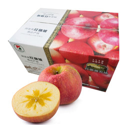 红旗坡 新疆阿克苏苹果 果径90mm以上 约5kg *5件