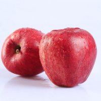 淘乡甜 礼县苹果红蛇果 12个 精品礼盒 大果