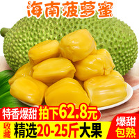 shuguotian 熟果甜 海南三亚新鲜水果菠萝蜜 20-35斤