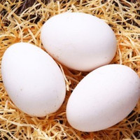 富润世 散养鹅蛋 单枚100-120g 6枚
