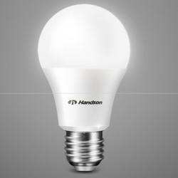 汉德森 白光LED大螺口节能灯泡 12W 买一送一 *2件