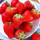 移动专享：DANGNINGGUOPIN 砀宁果品 红颜巧克力牛奶草莓  5斤