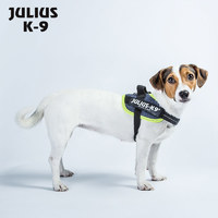 Julius K9狗胸背小型犬胸背带泰迪项圈猫胸背牵引绳狗链宠物用品