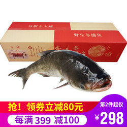 猫二郎 查干湖胖头鱼  海鲜水产年货礼盒 9-10斤*1条