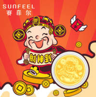 SUNFEEL 赛菲尔 足金财神到压岁钱金币（赠红包包装）