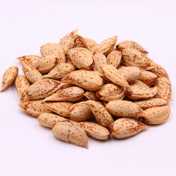 1月7日0点新疆莎车巴旦木500g