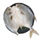 抄作业：泰式烤鱼750g（2条装）/虾滑/鳕鱼/金枪鱼罐头/羊肉串