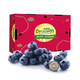 Driscoll's怡颗莓 智利进口精选蓝莓原箱12盒装 约125g/盒 新鲜水果 年货礼盒
