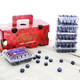 智利原箱进口蓝莓  6盒装大果 约170g/盒  净重1kg 果径约16mm+  年货礼盒 新鲜水果