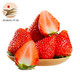京东PLUS会员：红颜草莓 巧克力奶油草莓 5斤精品果