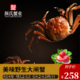  颜氏蟹业 鲜活大闸蟹 母蟹3.2-3.5 公蟹4.2-4.5 4对8只+凑单品　
