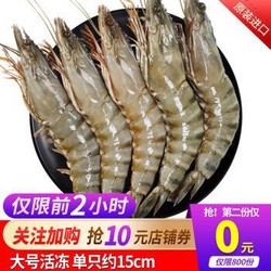 渔公码头 越南黑虎虾 单只15-17cm大 *3件