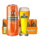 德国进口啤酒费尔德堡小麦啤500ml*18听 整箱装 *2件