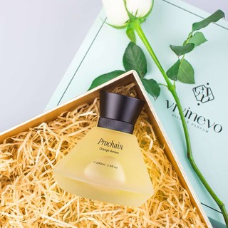 VIVINEVO 维维尼奥 覆盆子花园藤条香熏补充液 100ml