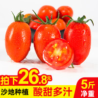 当季新鲜水果圣女果 时令应季樱桃小番茄整箱5斤非千禧海南西红柿