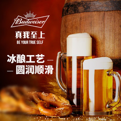 百威啤酒冰啤500ml*18大罐装新品啤酒整箱经典2