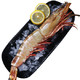 淘鲜团 莫桑比克黑虎虾 巨型特大号 净重840g 4只