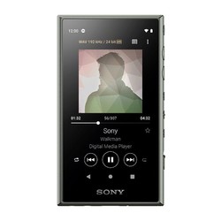 Sony 索尼 NW-A105 便携式HiFi播放器 16GB
