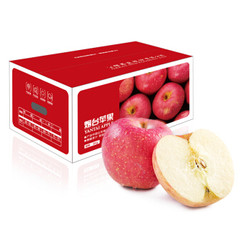 京觅 烟台红富士苹果 铂金大果 5kg 单果230-320g