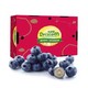 Driscoll's怡颗莓 智利进口精选蓝莓原箱12盒装 约125g/盒 新鲜水果 年货礼盒 *3件