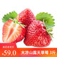 四川大凉山红颜奶油草莓新鲜大果农家自产新鲜水果非丹东99 甄选3斤 *9件
