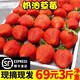 顺丰包邮 现摘新鲜草莓水果 当季应季水果牛奶油草莓5斤