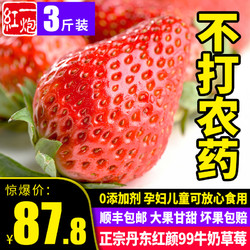 正宗丹东草莓新鲜香甜大果牛奶草莓九九红颜1500g